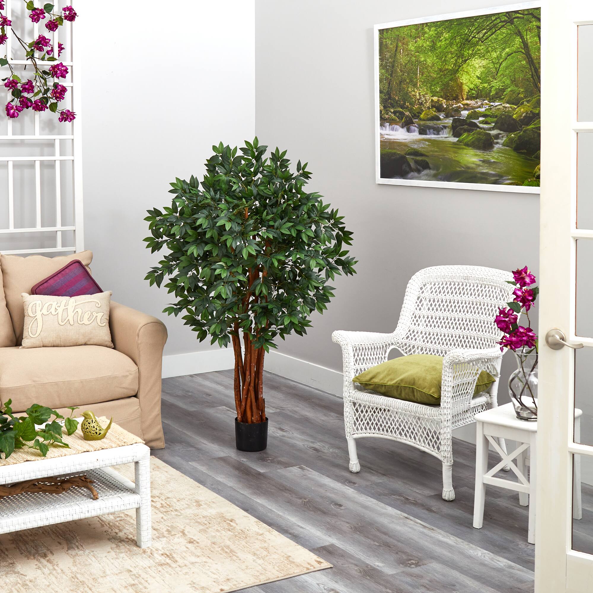 4.5ft. Potted Lychee Tree